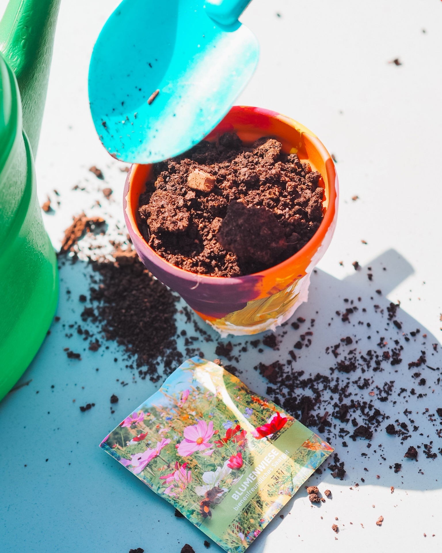 Ein Kind, das in der Natur spielt und dabei lernt. Warum Lernen aus dem echten Leben für Kinder so wichtig ist - Lernen durch Entdecken, Beobachten und Ausprobieren.