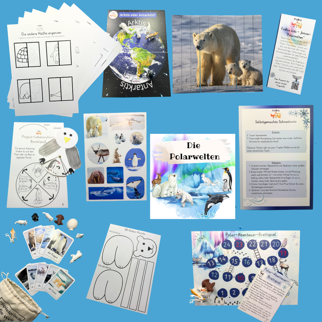 FoxBox - Januar "Polarwelten"