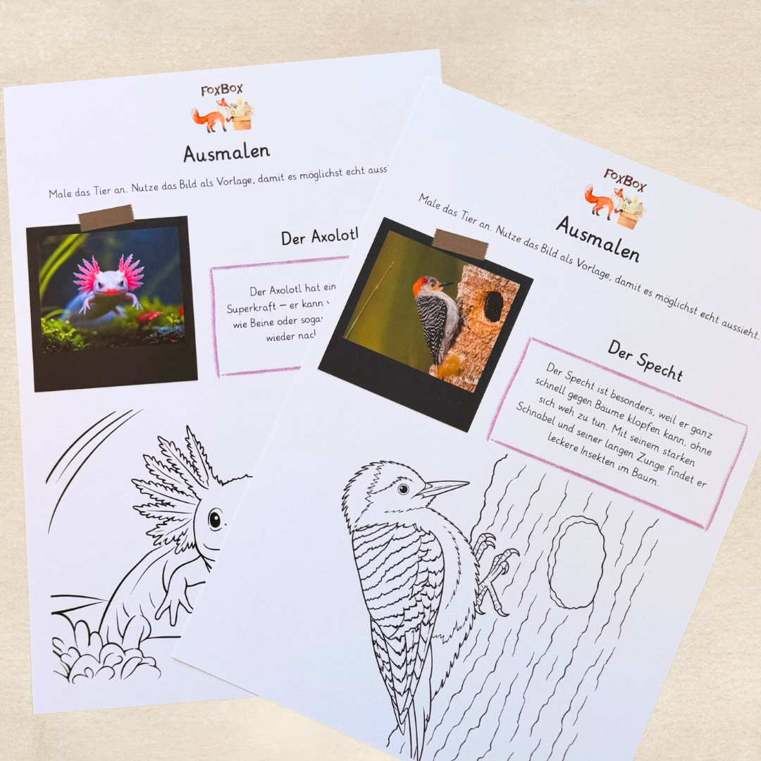 Vokabelkarten mit Bewegungsspiel aus der FoxBox „Tierische Superhelden“, Montessori Box für aktives Lernen