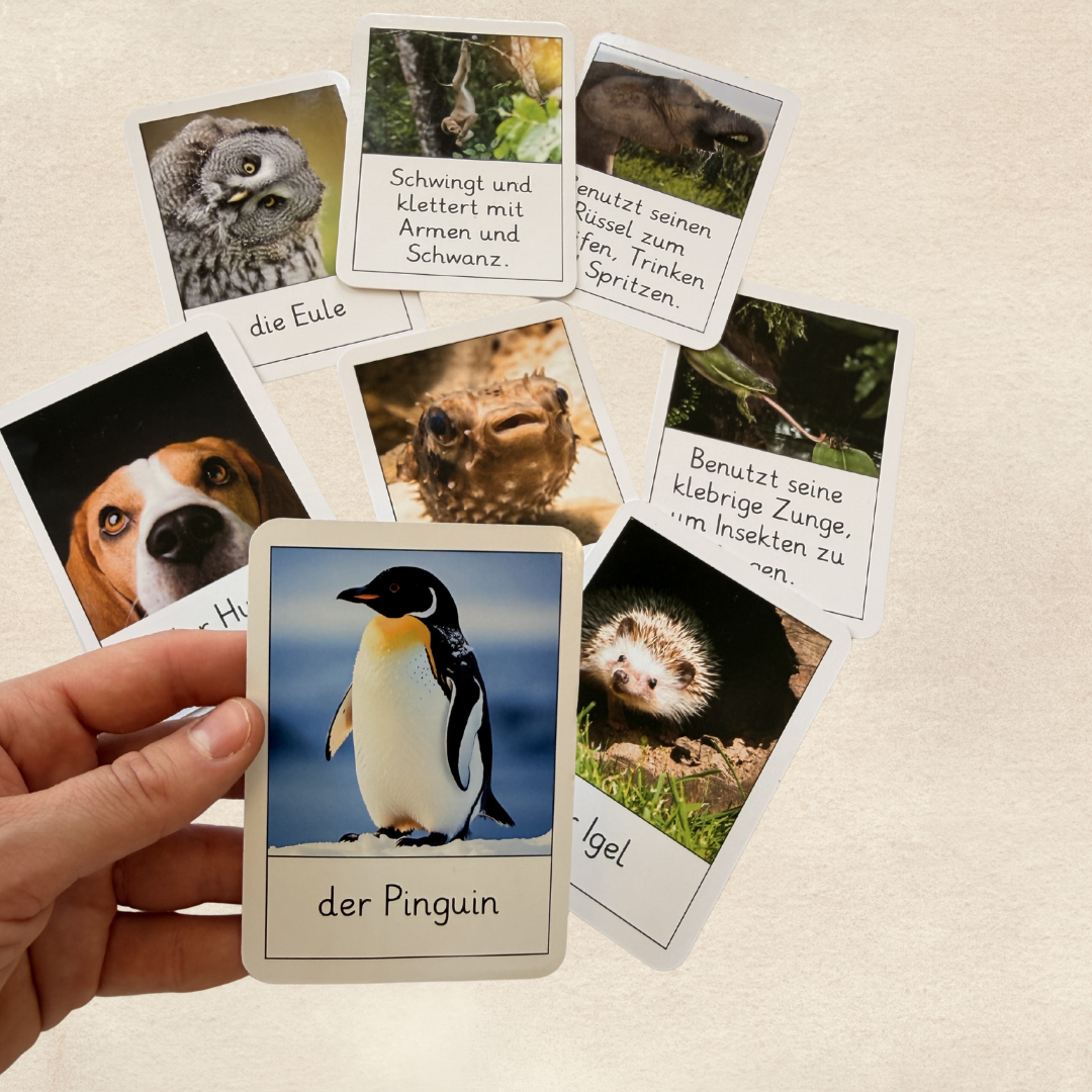Tiergeräusche raten Spiel aus der Montessori Box FoxBox „Tierische Superhelden“ für Sprachentwicklung