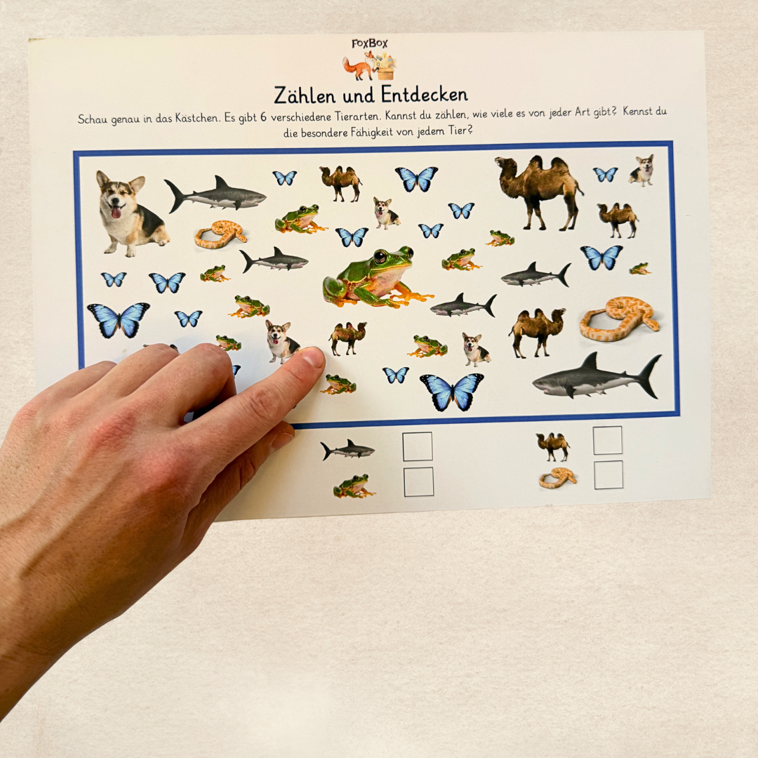 Hungriger Frosch Bastelset aus der Montessori Box FoxBox „Tierische Superhelden“, für kreatives Lernen